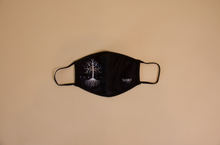 Load image into Gallery viewer, Pandect Wear Capsule 2 Mask
